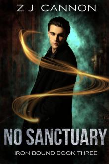 No Sanctuary No Sanctuary