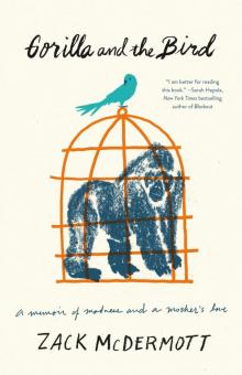 Gorilla and the Bird Gorilla and the Bird