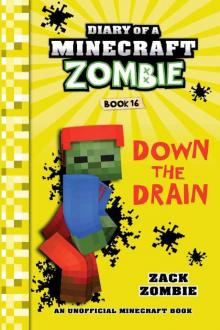 Down The Drain Down The Drain