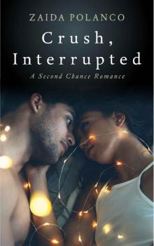 Crush, Interrupted: A Second Chance Romance