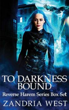 To Darkness Bound Box Set To Darkness Bound Box Set