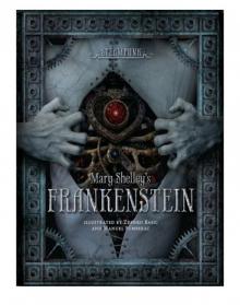 Steampunk: Mary Shelley's Frankenstein Steampunk: Mary Shelley's Frankenstein