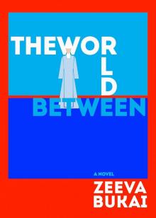 The World Between The World Between