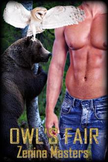 OwlsFair OwlsFair