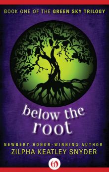 Below the Root