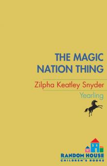 The Magic Nation Thing