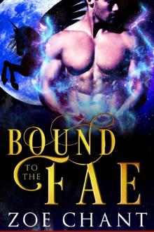 Bound to the Fae (Fae Mates Book 2)