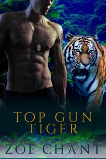 Top Gun Tiger (Protection, Inc. Book 7)